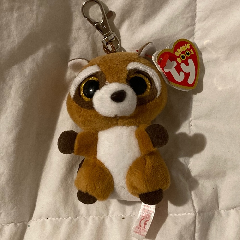 Rusty the Raccoon